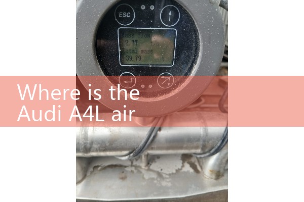 Audi air flow meter